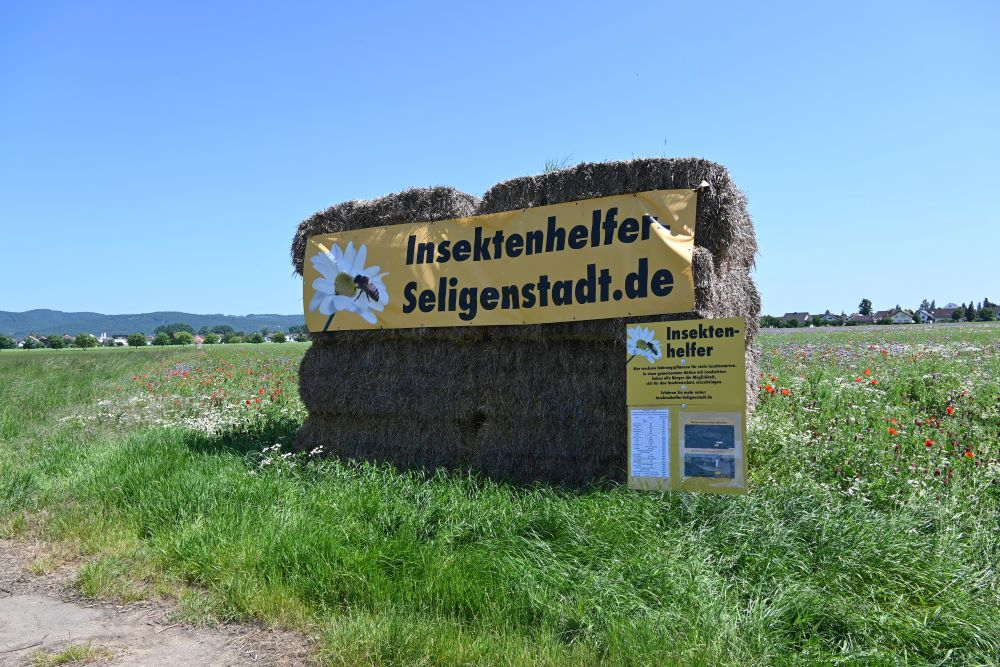 Insektenhelfer_2023